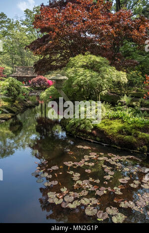 The Japanese garden (Japanse Tuin) in spring (May), Clingendael Park, The Hague (Den Haag), Netherlands. Stock Photo