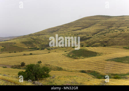 A view of one of the many hills and valleys in and around the Galilee region of Israel. Taken through the window of a moving coach late on a hazy day. Stock Photo