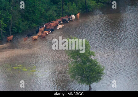 Hurricane Harvey flooding in Port Arthur, Texas, August 30, 2017. Hurricane Harvey formed in the Gulf of Mexico and made landfall in southeastern Texas, bringing record flooding and destruction to the region. U.S. military assets supported FEMA as well as state and local authorities in rescue and relief efforts. (U.S. Army National Guard photo by Sgt. 1st Class Malcolm McClendon). Stock Photo