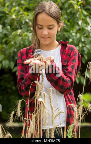 Closeup toned image of teenage girl holding ripe wheat in hands Stock Photo