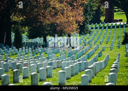 Rows of grave stone markers in Arlington National Cemetery in Washington DC. Stock Photo