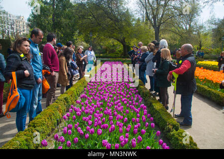 People visiting the tulip flowers garden. Botanical Garden, Madrid, Spain. Stock Photo