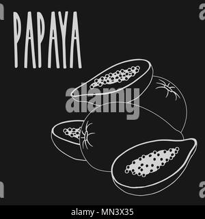 Isolate papaya fruit as chalk on blackboard Stock Vector