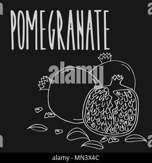 Isolate ripe pomegranate fruit as chalk on blackboard Stock Vector