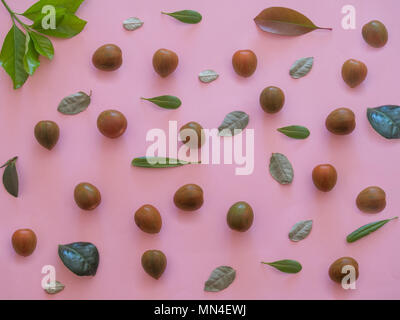 Pattern tabby tomatoes and leaves on pink background Stock Photo