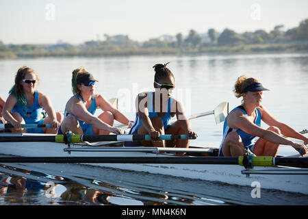 Female rowers rowing scull on sunny lake Stock Photo