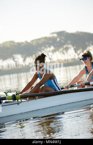 Female rowing team rowing scull on sunny lake Stock Photo