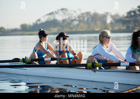 Female rowing team rowing scull on sunny lake Stock Photo