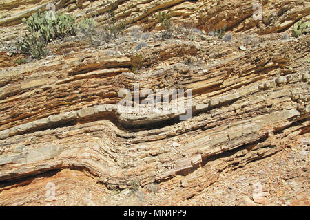 Yellow and red waved rock layers, Big Bend National Park, USA Stock Photo