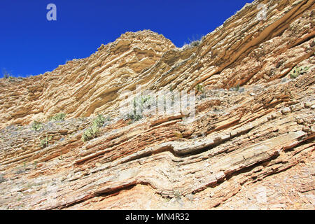 Yellow and red waved rock layers, Big Bend National Park, USA Stock Photo