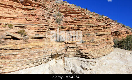 Yellow and red waved rock layers, Big Bend National Park, USA Stock Photo