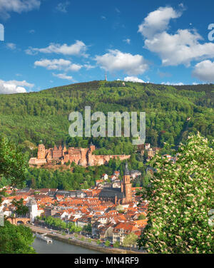 Heidelberg and ruins of Heidelberg Castle (Heidelberger Schloss) in Spring. Picture was taken in Heidelberg, Germany, from the hill across the river. Stock Photo