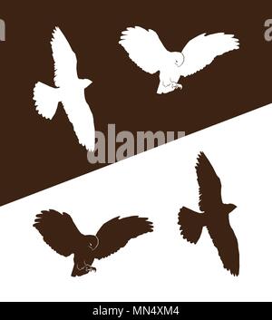 Eagles, hawks, falcons. Vector set in brown and white color Stock Vector