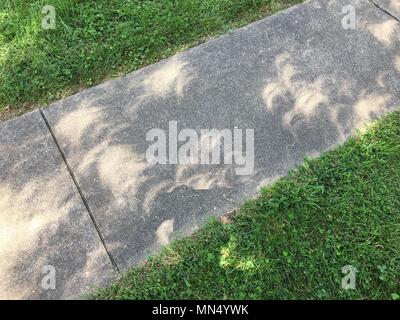 During the Great American Eclipse on August 21, 2017, crescent suns were projected as reflections on sidewalks near Linn, Missouri. The archival photographic print captures the natural pinhole projection effect of the partially eclipsed sun. Stock Photo