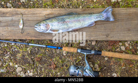 Fresh caught Rainbow Trout with fishing rod Stock Photo - Alamy