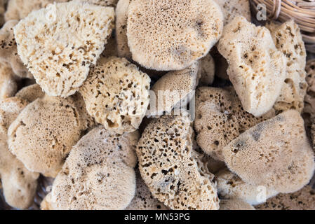 Top view of Natural brown and yellow sea sponges in different shapes on stall for sale Stock Photo