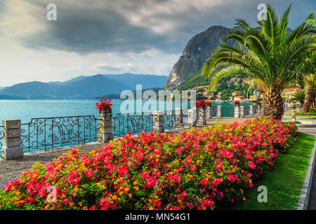 Wonderful promenade with colorful flowers in public park and palm trees on the shore, Lake Como, Lombardy region, Northern Italy, Europe Stock Photo