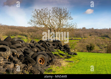 Old tires dumped in the midst of nature. Auvergne. France Stock Photo