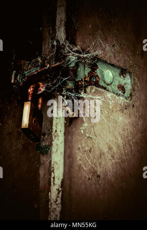 old padlocked secret door, covered  in cobwebs Stock Photo