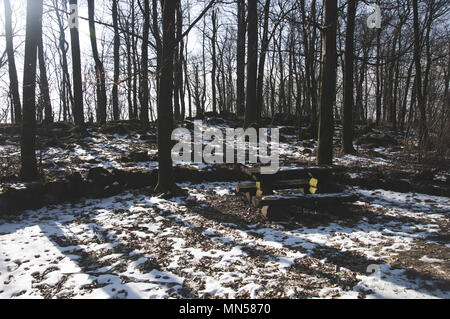 The picnic table in the forest illuminated by the sunlight with rest of snow on the ground. Stock Photo