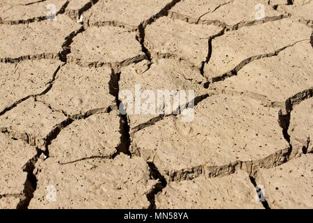 Dry,cracked clay soil, Sussex, UK Stock Photo