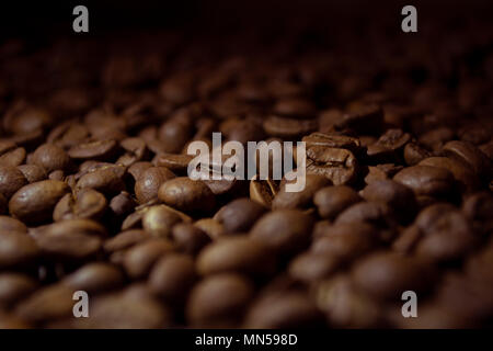 Closeup of coffee beans with focus on one Stock Photo
