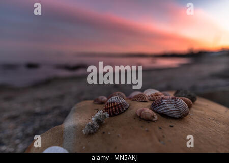 Sea Shells with Fishing Net As Artistic Design in a Typical Outdoor Greek  Tavern Stock Photo - Image of casual, commercial: 103309886