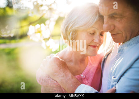 Beautiful senior couple in love outside in spring nature under blossoming trees, hugging. Stock Photo