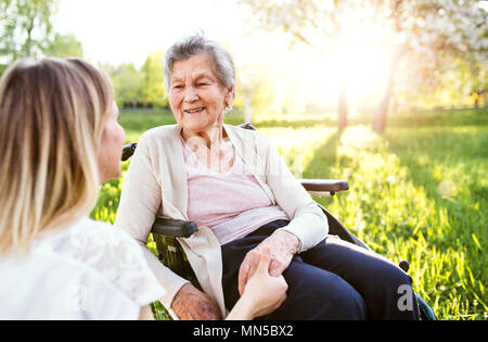 An elderly grandmother in wheelchair with an adult granddaughter outside in spring nature, holding hands. Stock Photo