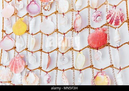 Decorative colorful seashells hanging on a white wall Stock Photo