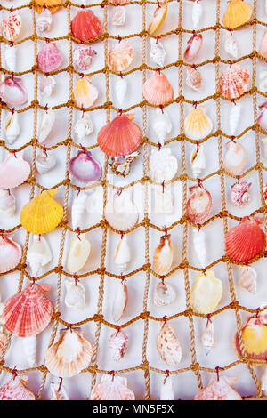 Decorative colorful seashells hanging on a white wall Stock Photo