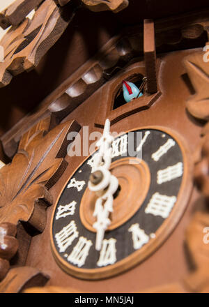 Face of Cuckoo Clock close up. Stock Photo