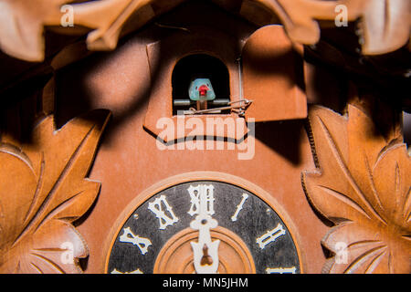Cuckoo Clock face and bird close up. Stock Photo