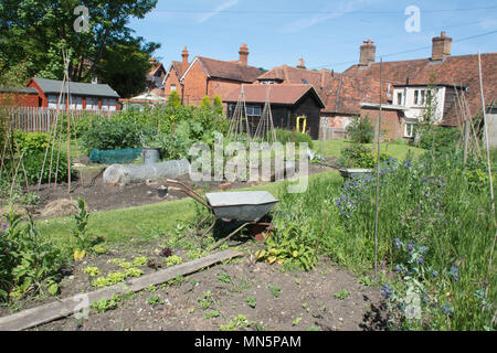 Village allotments at Goring-on-Thames in Oxfordshire, UK Stock Photo