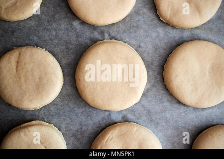 dough for english muffins cut and left to rise on greaseproof paper in a kitchen UK Stock Photo