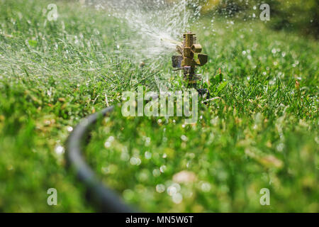 Automatic Garden Lawn sprinkler in action watering grass. Stock Photo