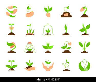 Sprout flat icons set. Web sign kit of seeds. Sprout icon collection includes plant, leaves, grass. Simple cartoon colorful symbol isolated on white.  Stock Vector