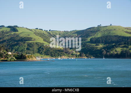 Dunedin, Otago, New Zealand-December 11,2016: Anchored sailboats in coastal bay with lush green landscape in Dunedin, New Zealand Stock Photo