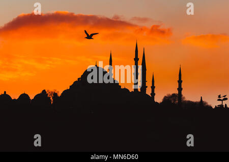 ISTANBUL/TURKEY- DECEMBER 24,2016: The New Mosque (Yeni Camii). The New Mosque is an Ottoman imperial mosque completed in 1665, located in Istanbul, T Stock Photo