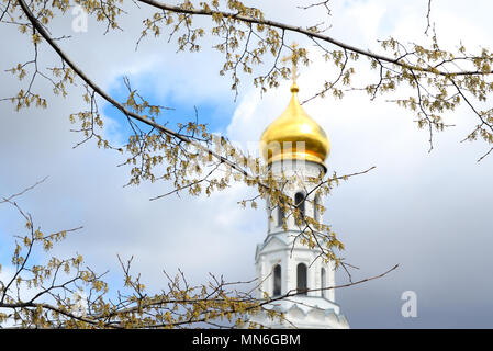 Flowering branches of ash-tree on the background of the Orthodox bell tower Stock Photo