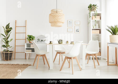 Big wicker lampshade hanging above table in white dining room interior with potted plants and plastic chairs Stock Photo