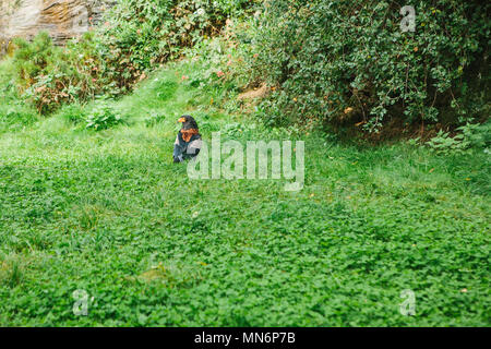 Eagle or hawk. Feathery or bird of prey on grass in open-air. Yellow beak and wild bird or predator under protection of Red List. Stock Photo