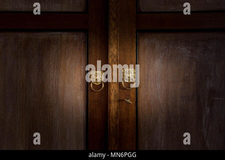 Old wooden dark brown doors close-up with golden lion knobs vintage design antique Stock Photo