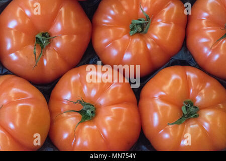 beefsteak tomatoes on display for healthy eating and red colourful fruits and vegetables. Greengrocers tomato growers and types or varieties of fruit. Stock Photo