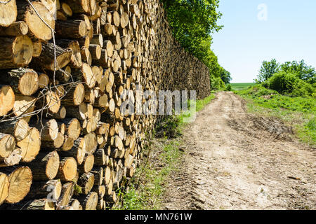 A wall of logs stacked neatly at the edge of a forest along a dirt track in the french countryside. Stock Photo
