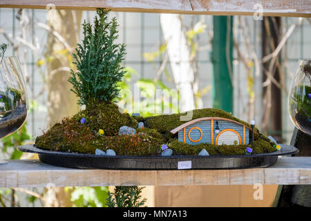 hobbit house in a pot with moss and little pine cone . scale model of a hobbit house Stock Photo