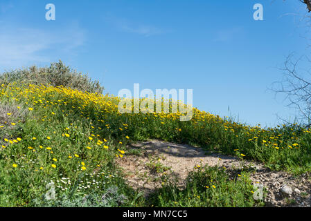 Visiting Ashkelon National Park, Israel Stock Photo