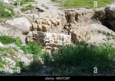 Visiting Ashkelon National Park, Israel Stock Photo