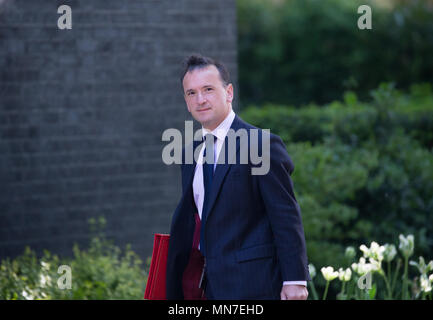 Alun Cairns, Secretary of State for Wales, arrives in Downing street for a Cabinet meeting Stock Photo