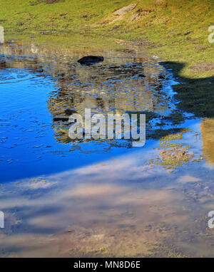 Abstract reflections of the surrounding clouds and rock face made in a large pool of rainwater Stock Photo